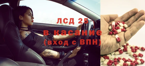 крисы Верхний Тагил