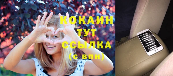 крисы Верхний Тагил