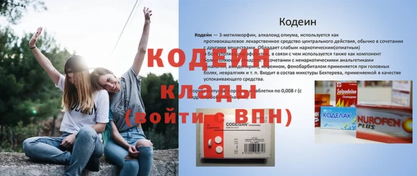 крисы Верхний Тагил