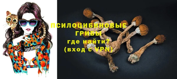 крисы Верхний Тагил